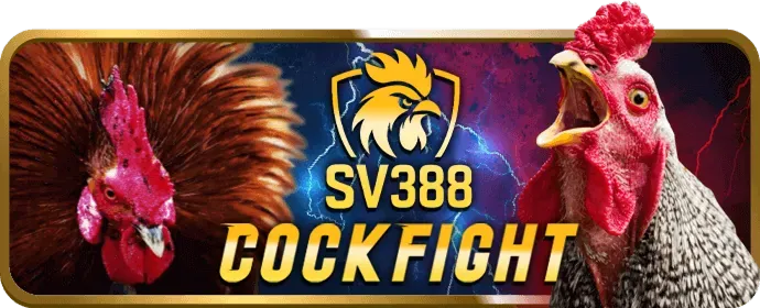 Ưu đãi sự kiện đá gà f88 bet win